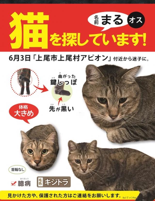 まる