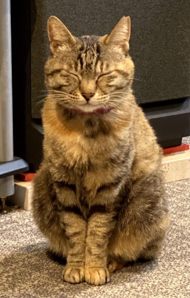 ミア