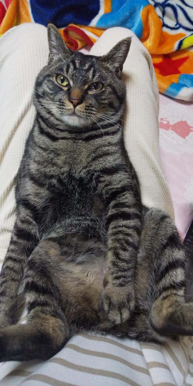 ムー
