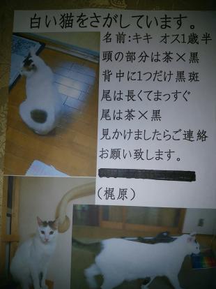 キキ