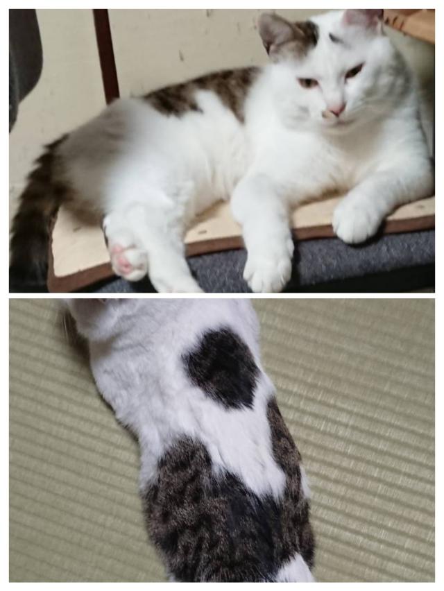 ソラ