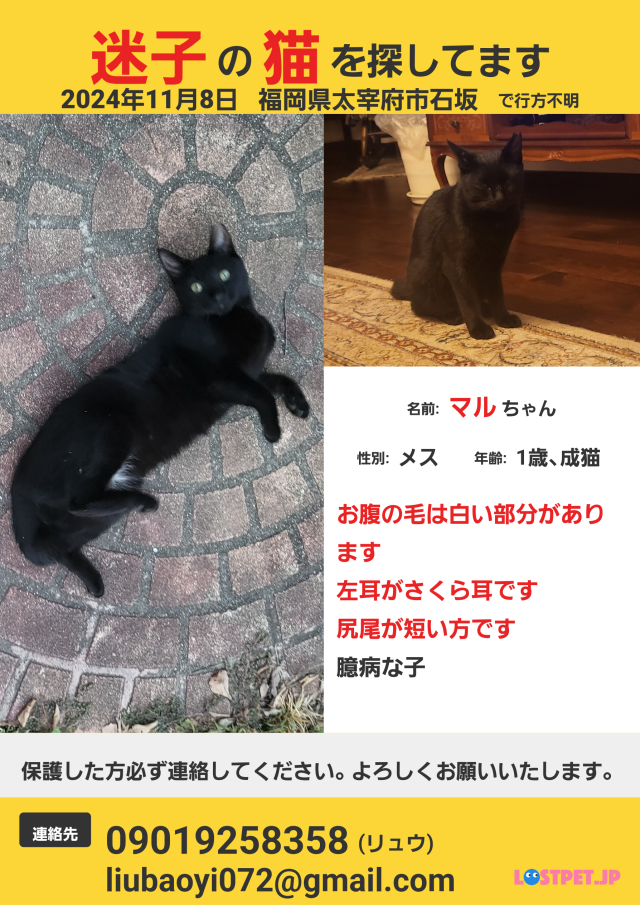 マル