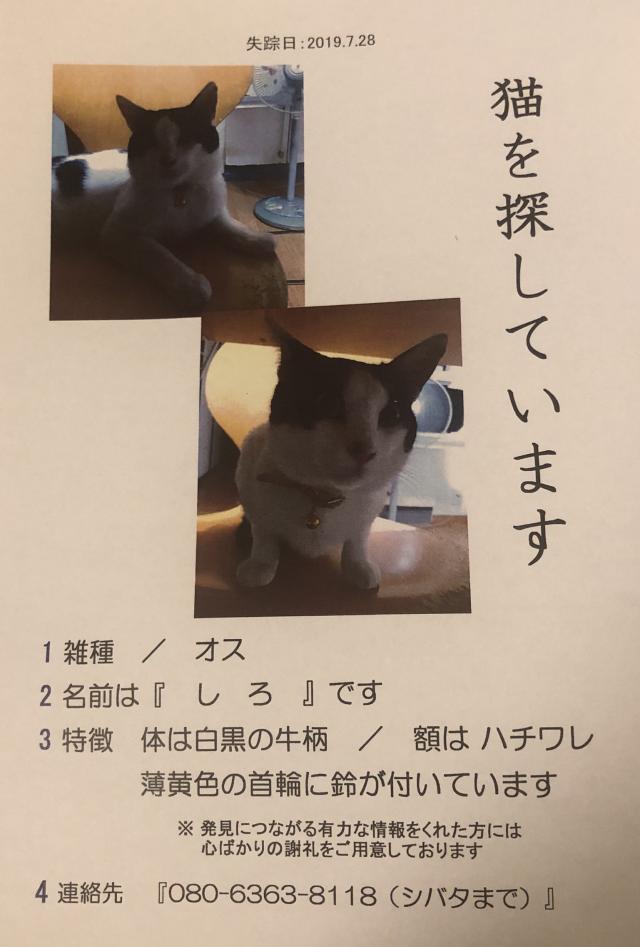 しろ
