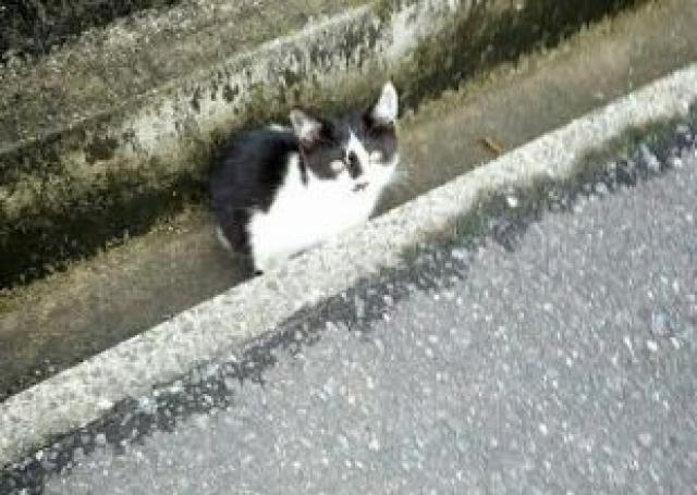 ほくちゃん