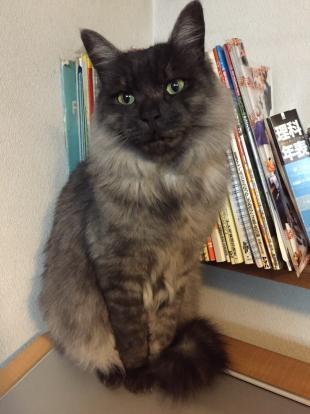 ミナト