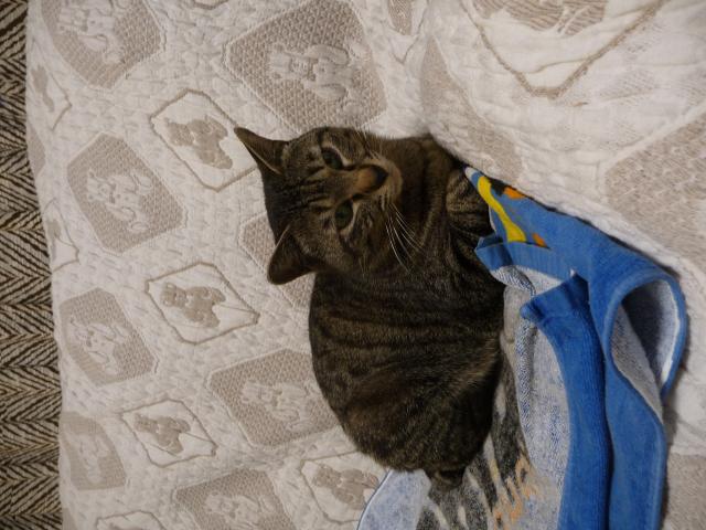 あっちゃん