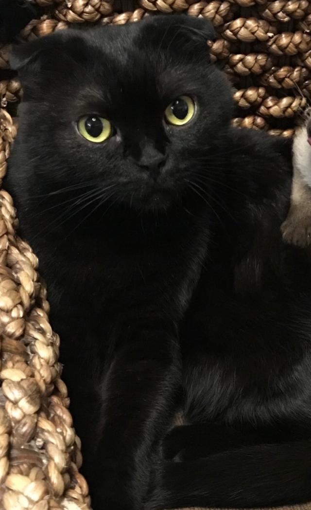 そら