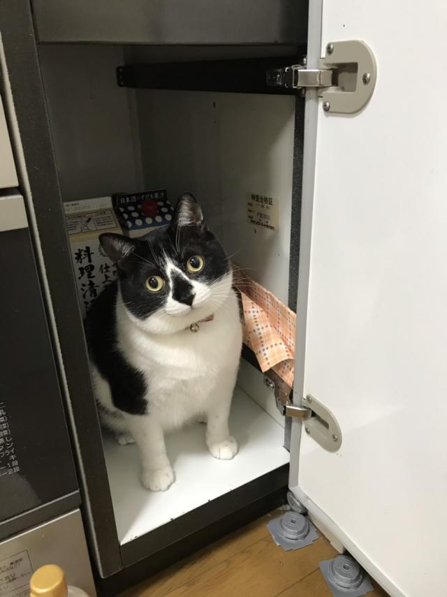 みぃ