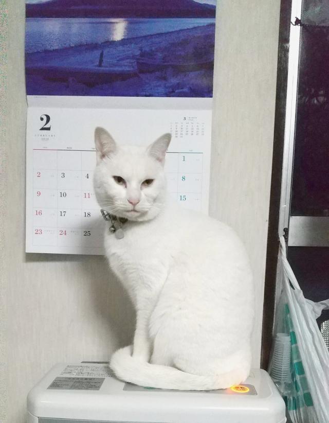 福丸