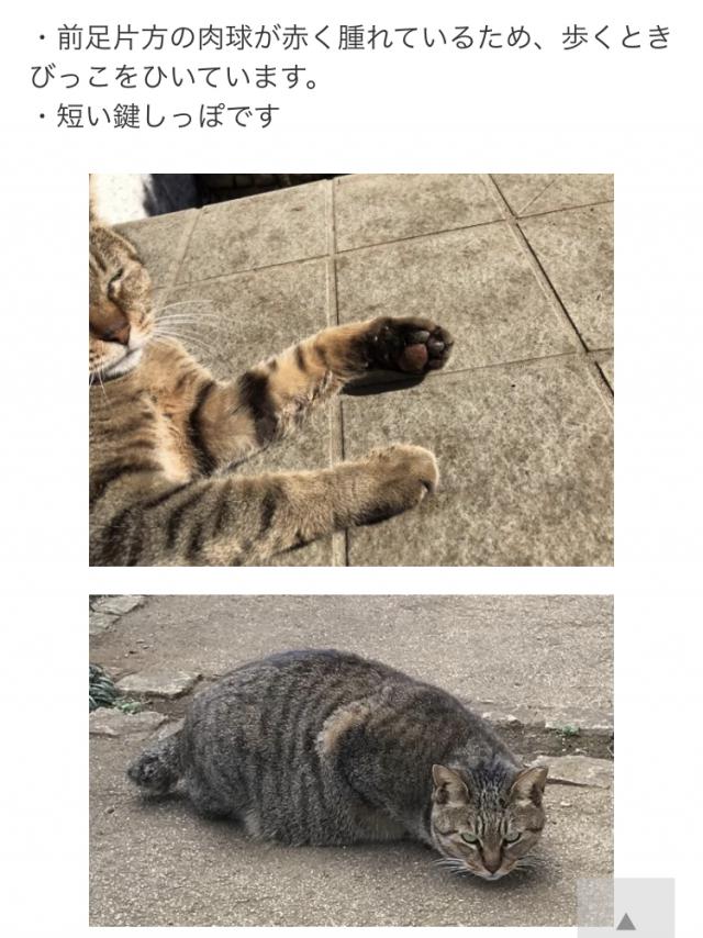 はっちゃんママ