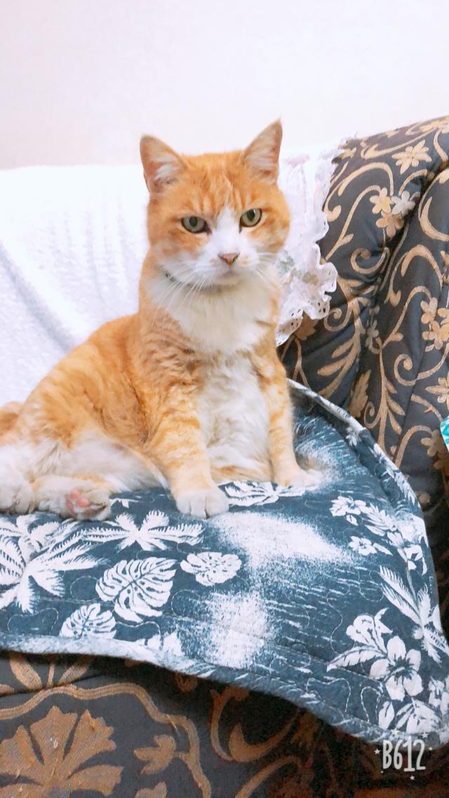 ベル