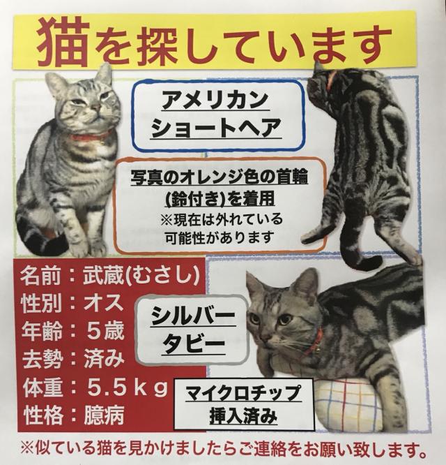 むさし