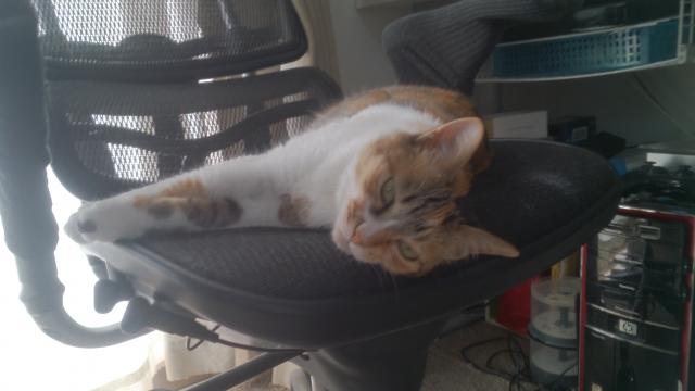 まんぼ