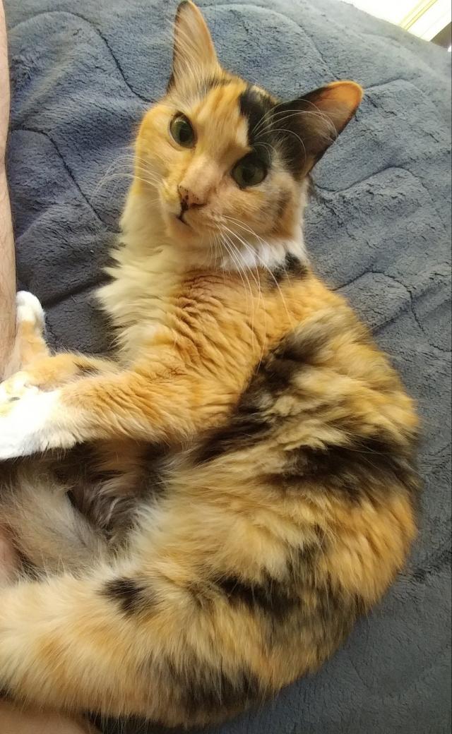 みーみ