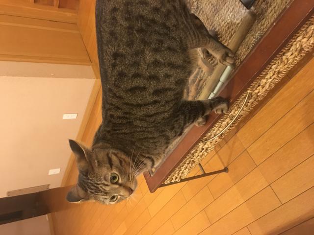 キュー