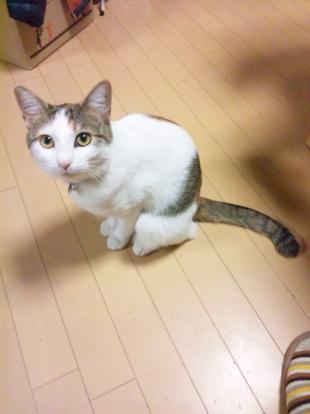 みやこ