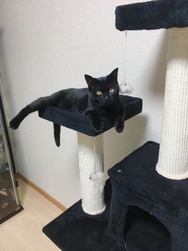 ゆきち