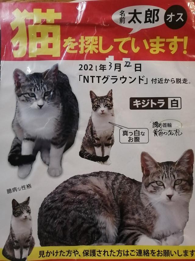 太郎