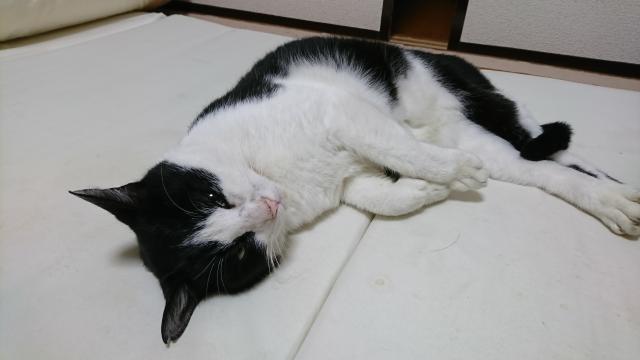 タン