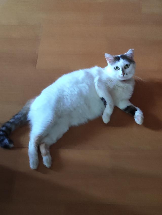 ほくちゃん