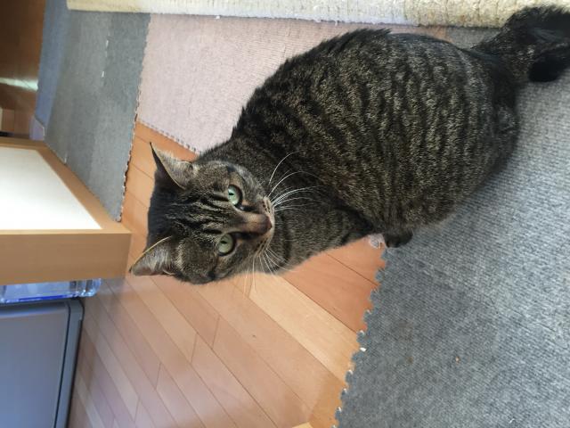 なっちゃん