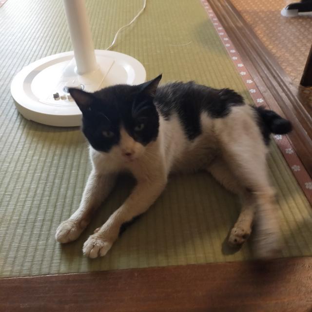 マルちゃん