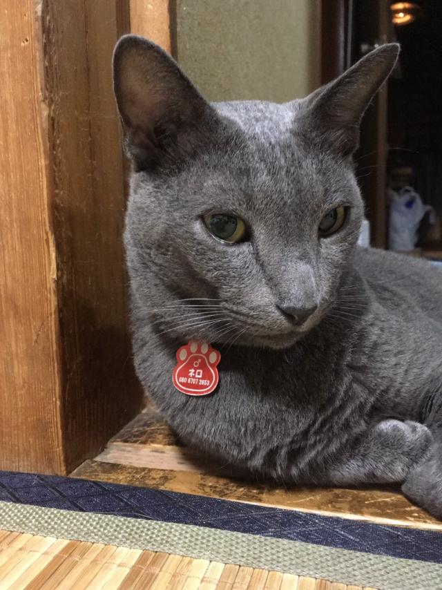 ネロ