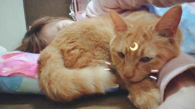 ぴの