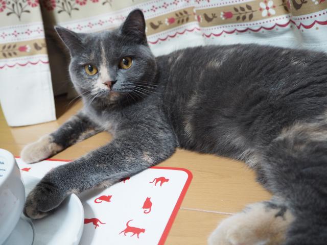 もも