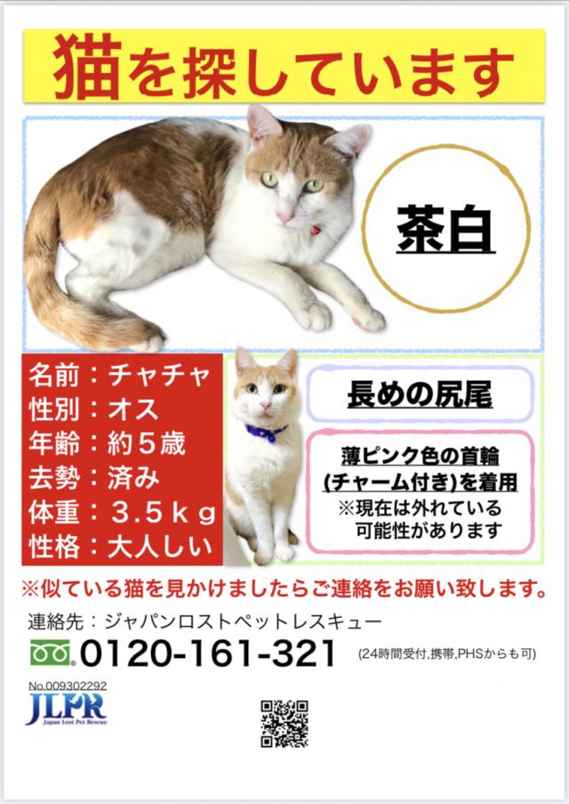 チャチャ