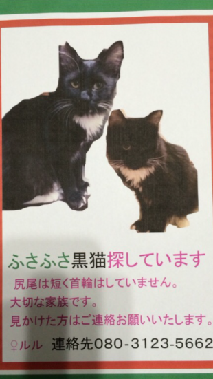 ルル