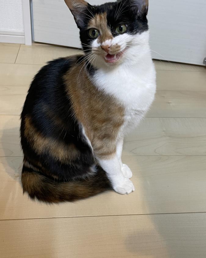 あられ