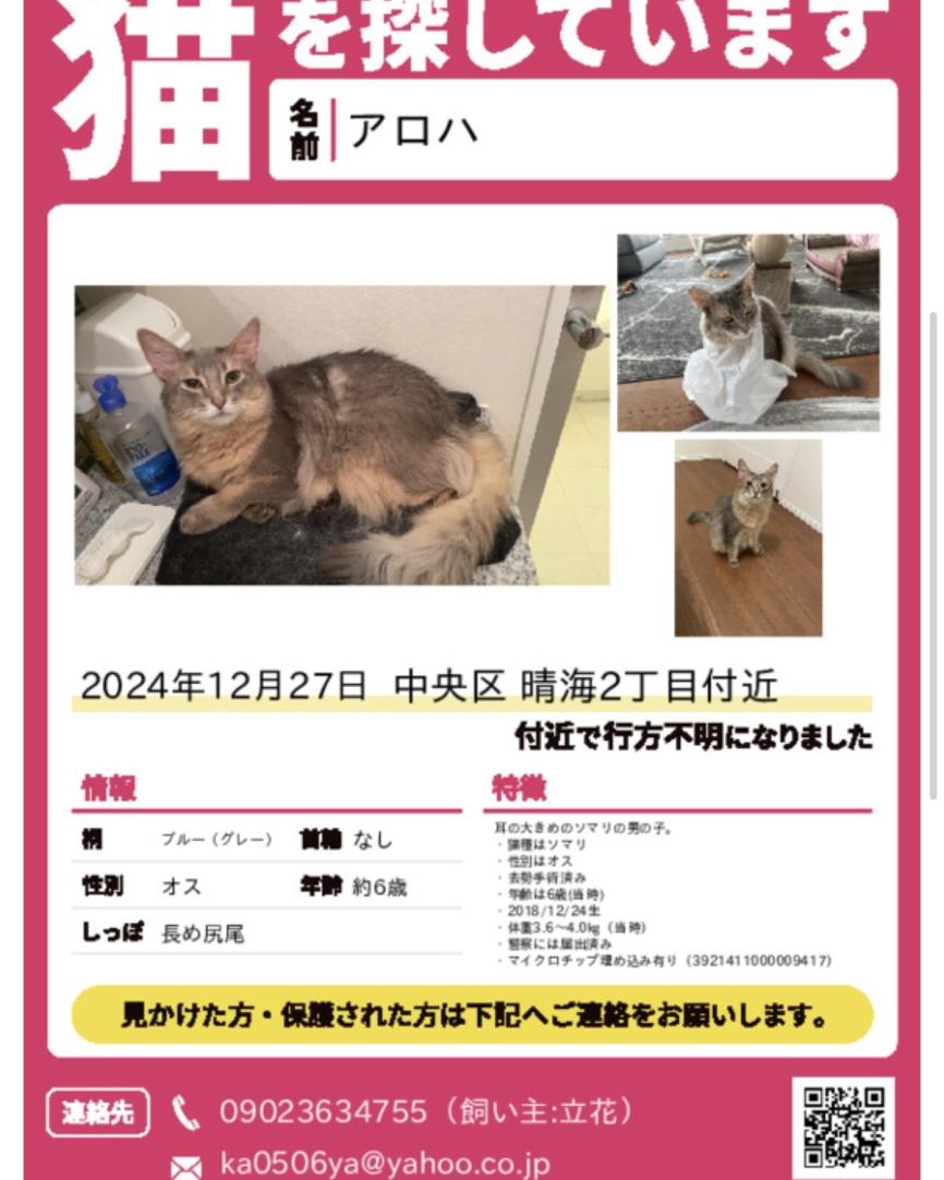 アロハ