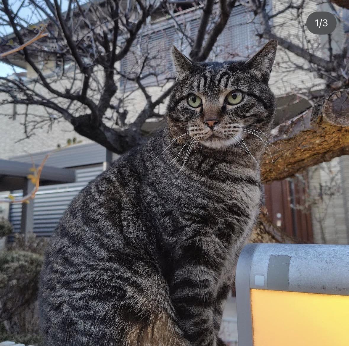 10えん