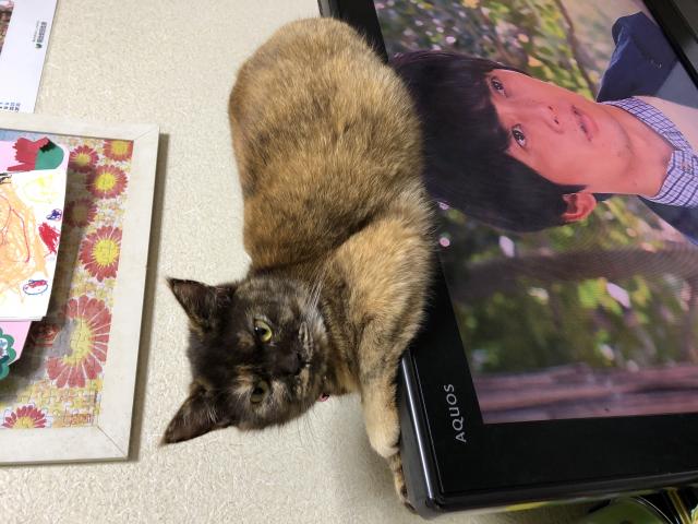 あずき