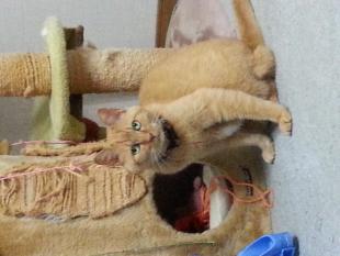 みーちゃん