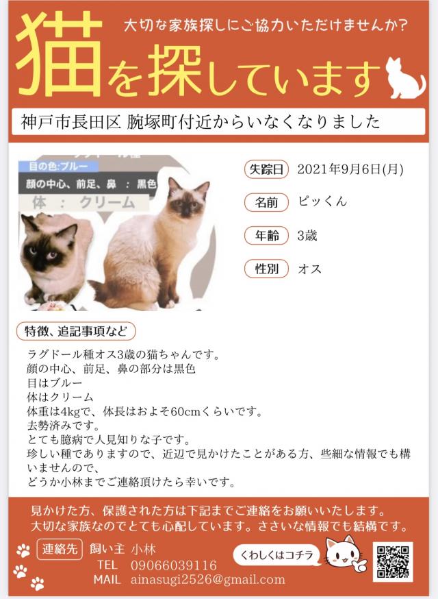 ピッくん