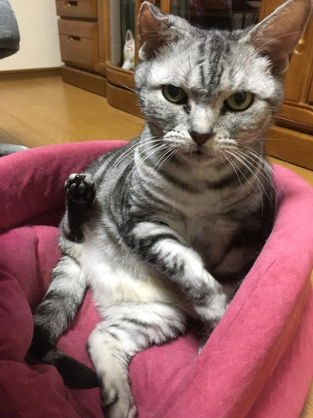 そらちゃん