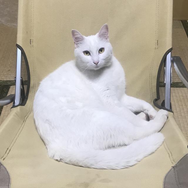 くう