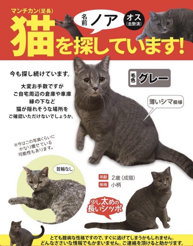 ノア
