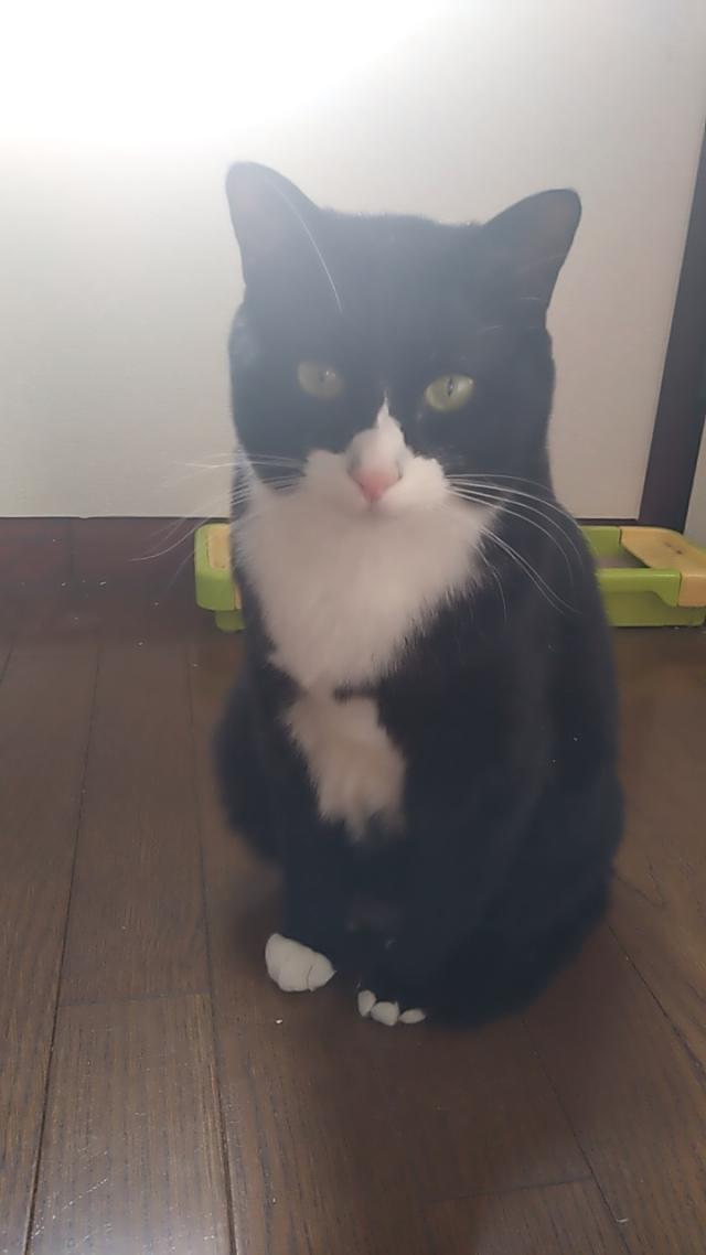 コロ