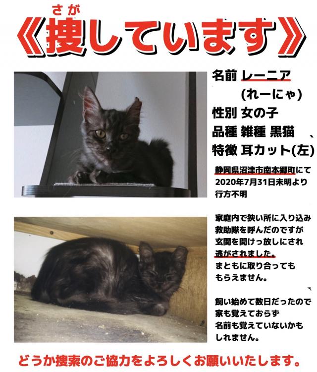 レーニア