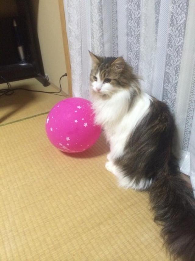 ムタ