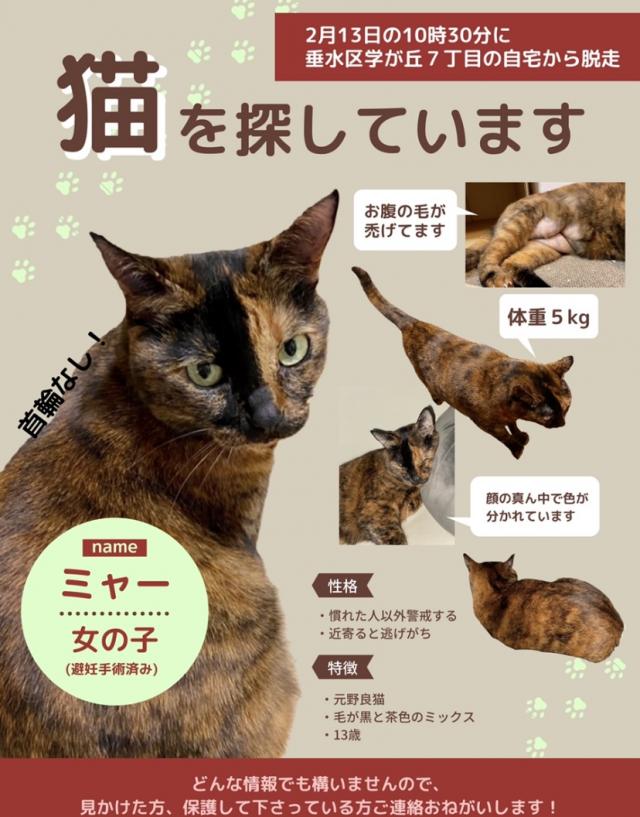 ミャー