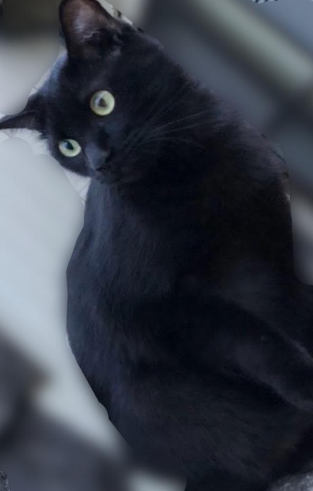 ロク
