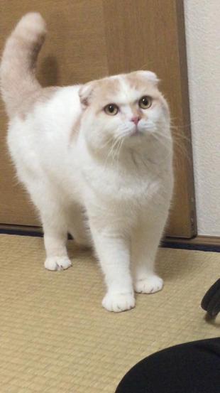 まる