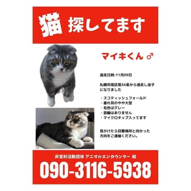 マイキ