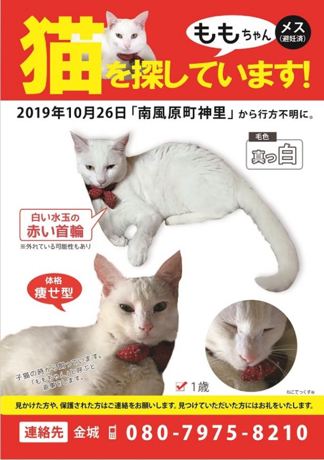 ももちゃん