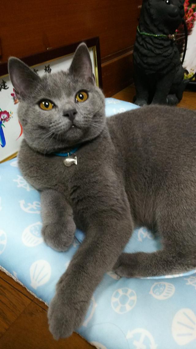 オー次郎