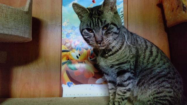 はやと　
